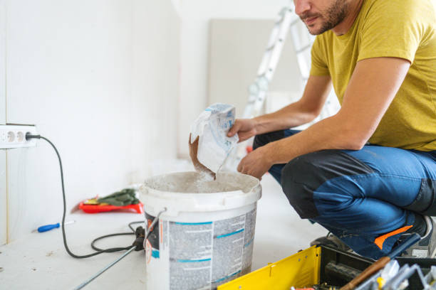 Best Drywall Removal and Disposal  in Inkster, MI